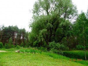 DSC01187