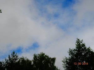 DSC01207