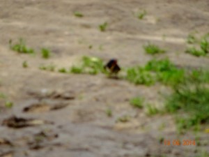 DSC01209