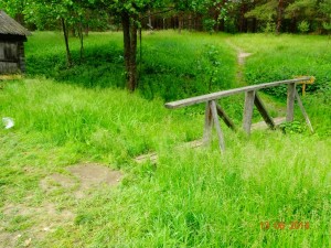 DSC01218