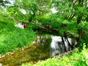 DSC01256