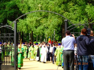 DSC01353