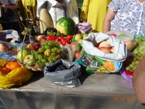 DSC02295