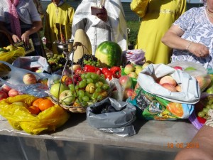 DSC02296